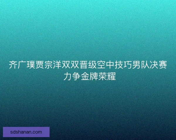 齐广璞贾宗洋双双晋级空中技巧男队决赛 力争金牌荣耀
